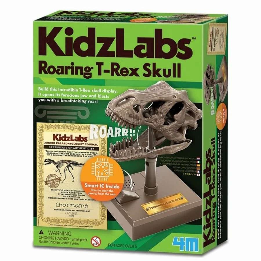 Health Intelligence For Kids Active Toys Kidzinc * | Best Reviews Of 4M Toys Kidzlabs Roaring T-Rex Skull