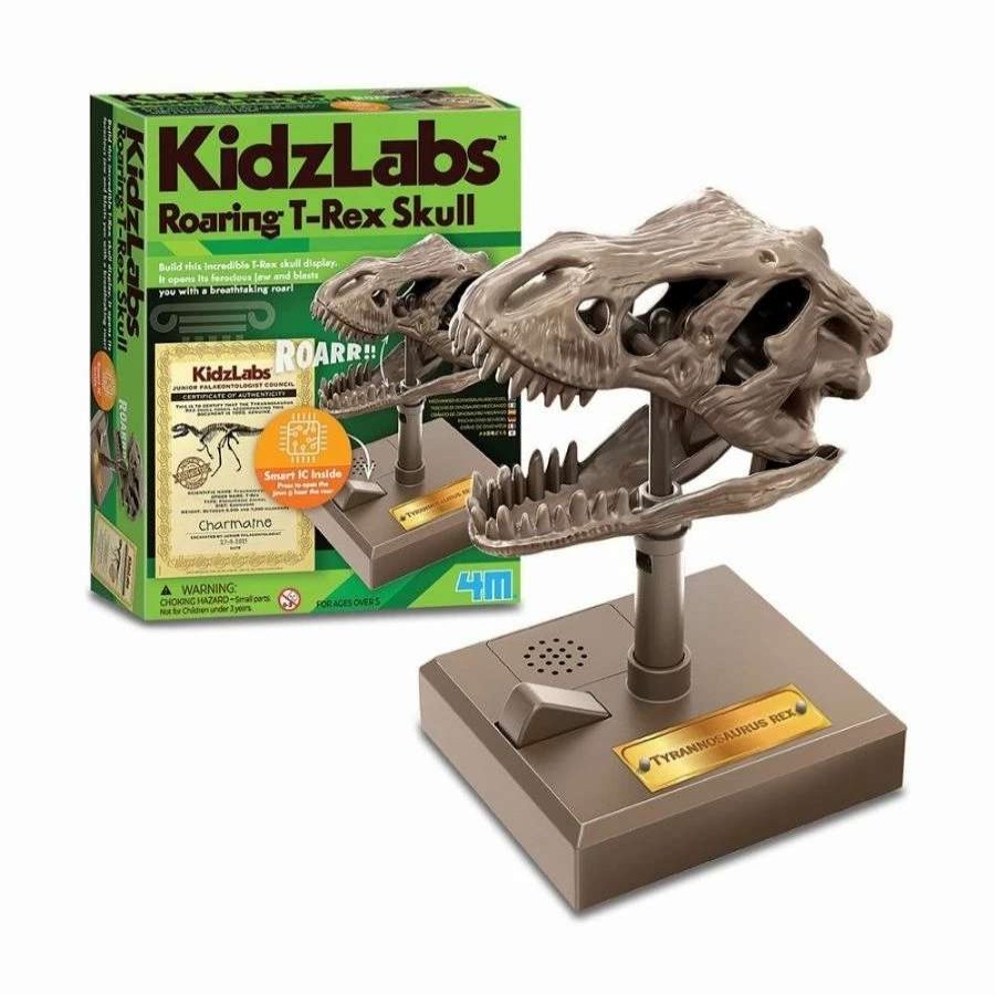 Health Intelligence For Kids Active Toys Kidzinc * | Best Reviews Of 4M Toys Kidzlabs Roaring T-Rex Skull