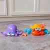 Health Intelligence For Kids Active Toys Kidzinc * | Coupon Fat Brain Toy Co Fat Brain Toys Crabby & Inky Pull Toys